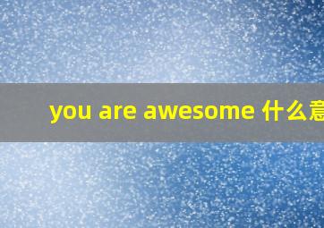 you are awesome 什么意思